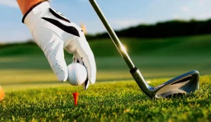 Overview Of The Different Types Of Golf Clubs