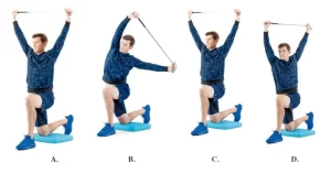 Flexibility Exercises