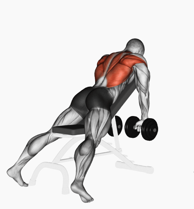 Lat Exercises With Dumbbells