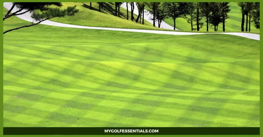 Golf Course Grass Complete Guide