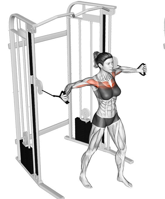 Best Cable Exercises for Chest