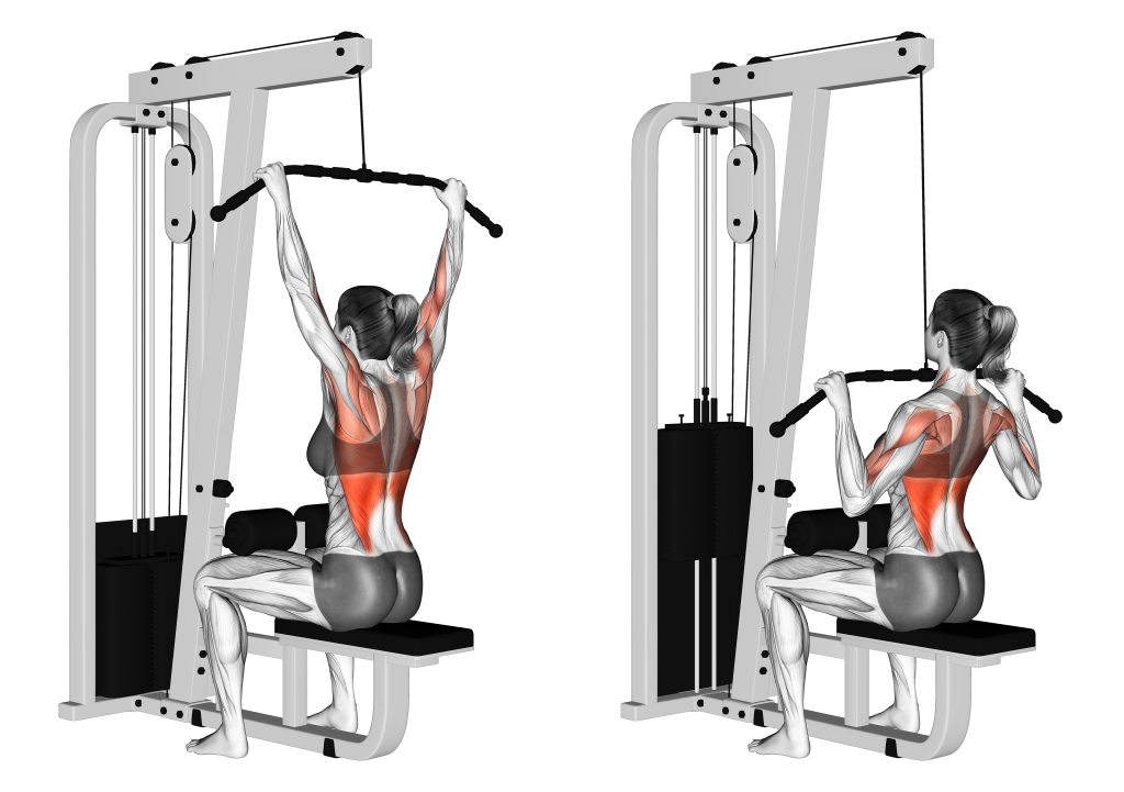 Back Workout Machines