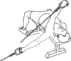 Single Arm (isolateral) Cable Fly