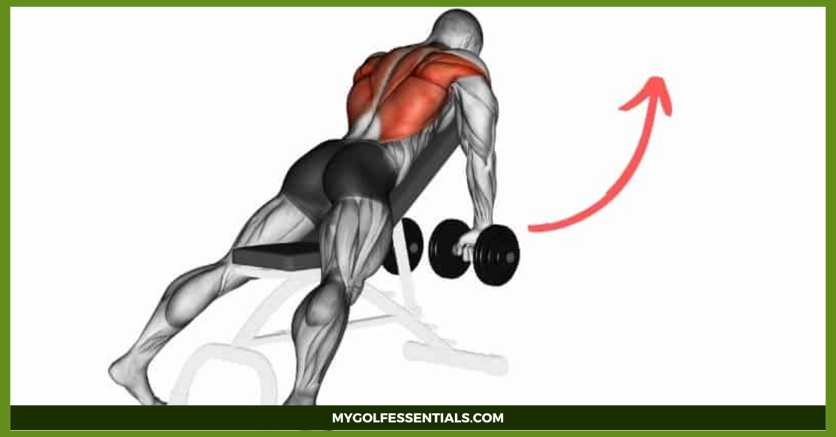 Rear Delt Exercises