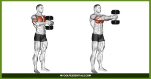 Dumbbell Chest Workout