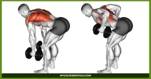 Lat Exercises