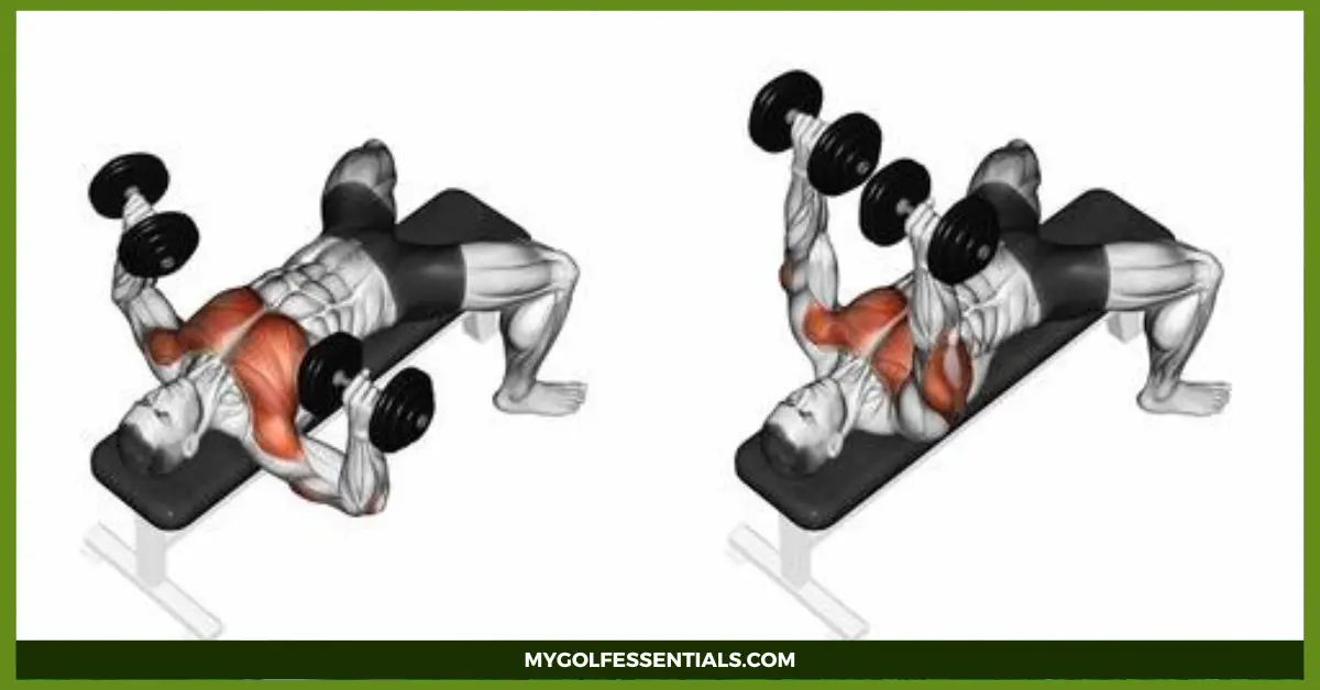 Push Day Workout
