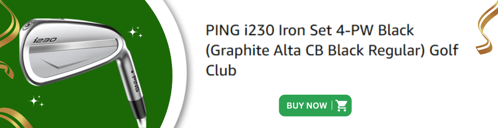 Ping i230