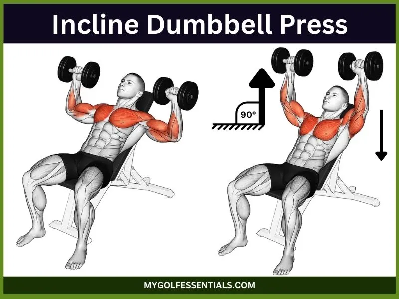 Incline Dumbbell Press 1
