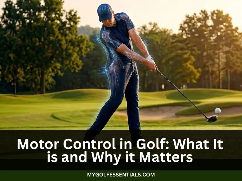 motor control in golf during a golfer swing showing brain and muscle coordination