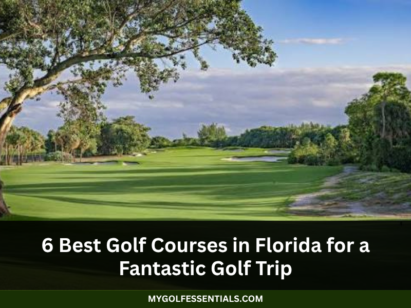6 Best Golf Courses in Florida for a Fantastic Golf Trip